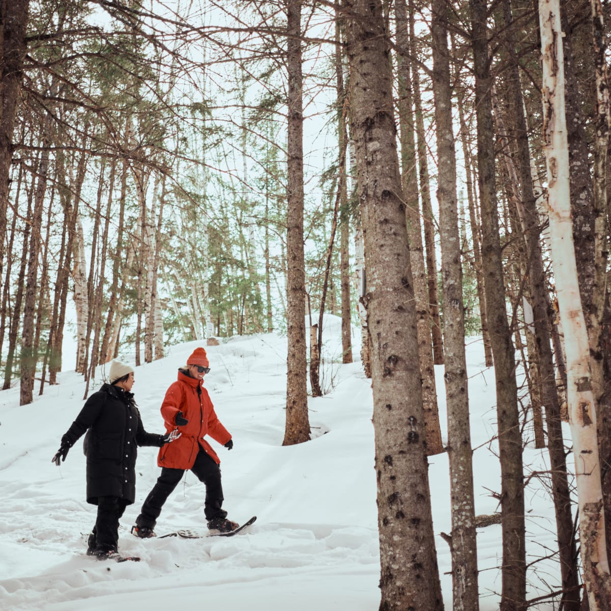 Destination Lac-Saint-Jean