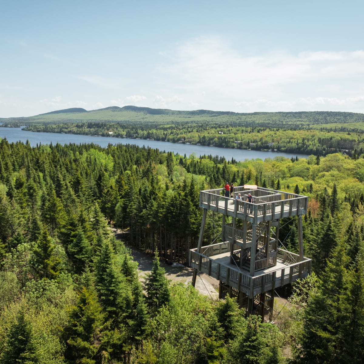 View of an observation tower in nature