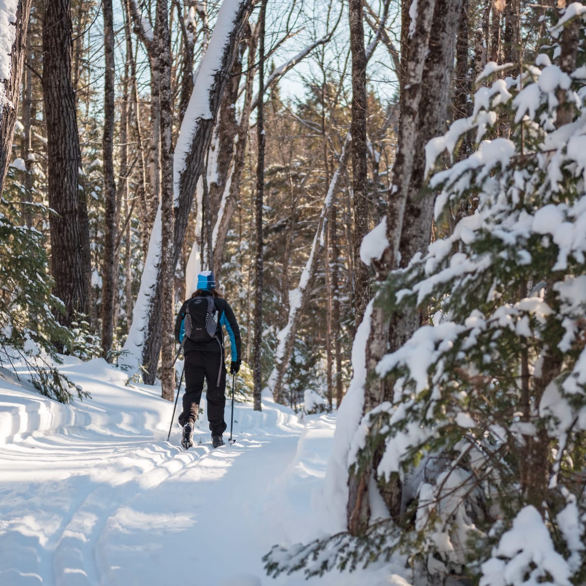 Personne en ski de fond au Club sportif des Appalaches.