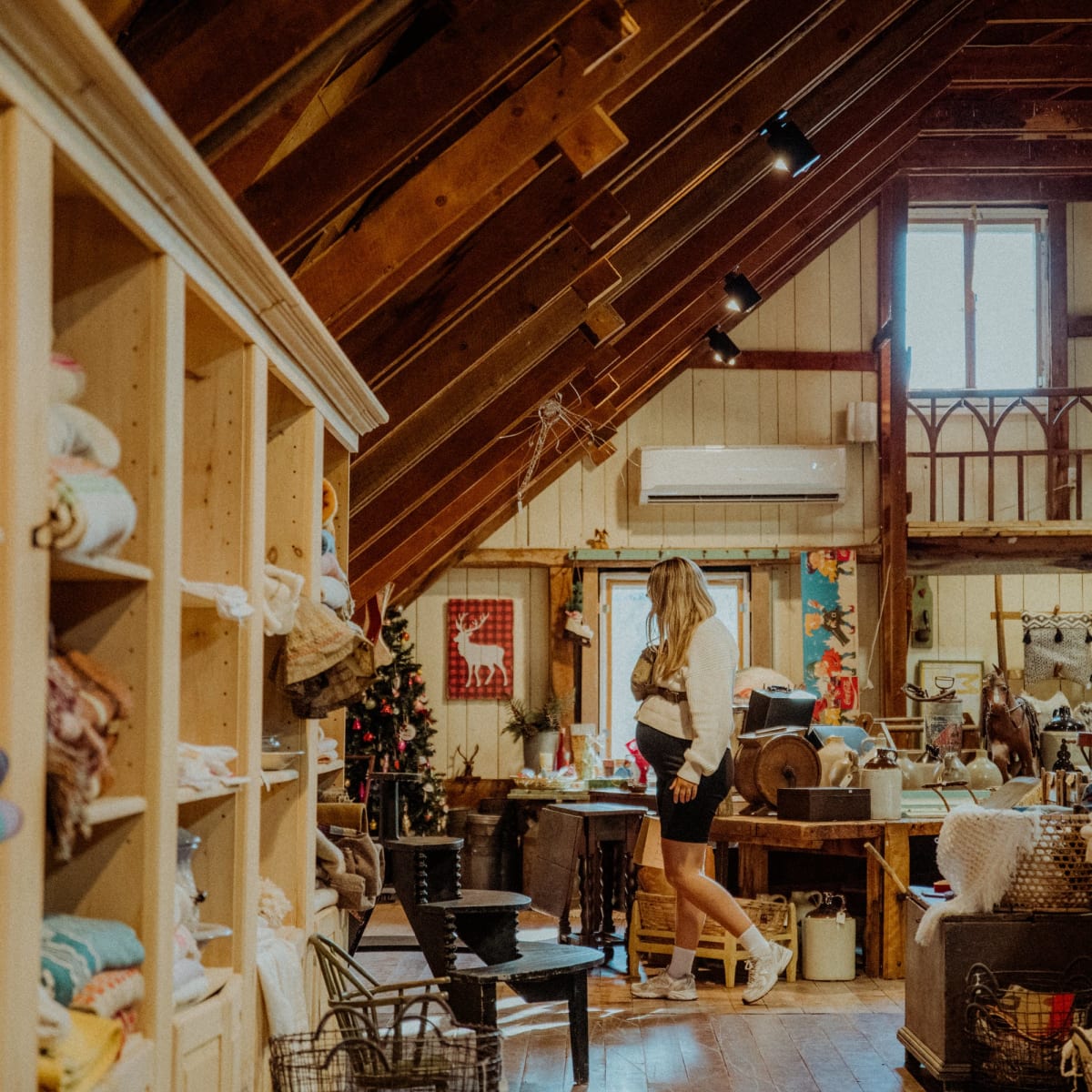 A woman in a craft shop.