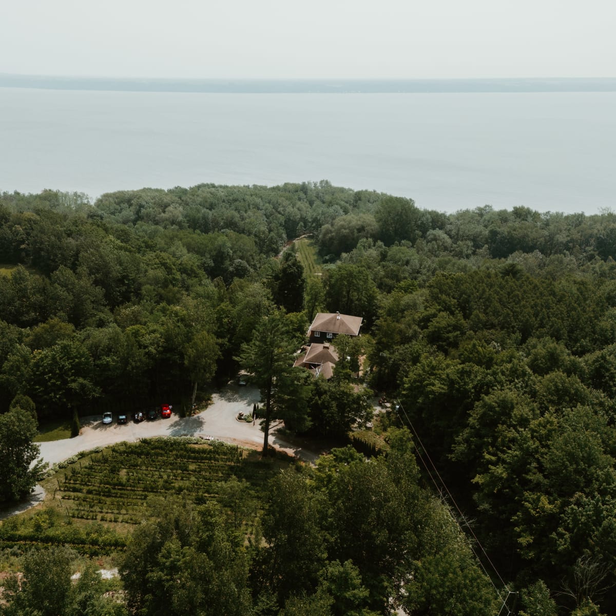 Vignoble le Domaine des 3 Moulins