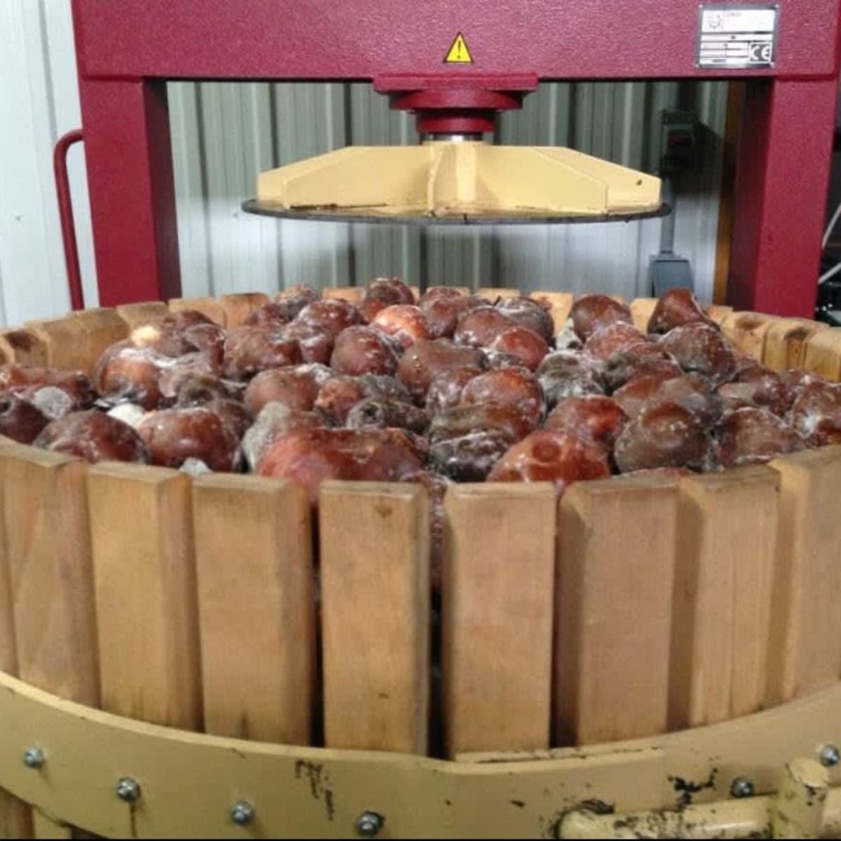 Des poires dans le pressoir du Domaine des Salamandres en Montérégie.