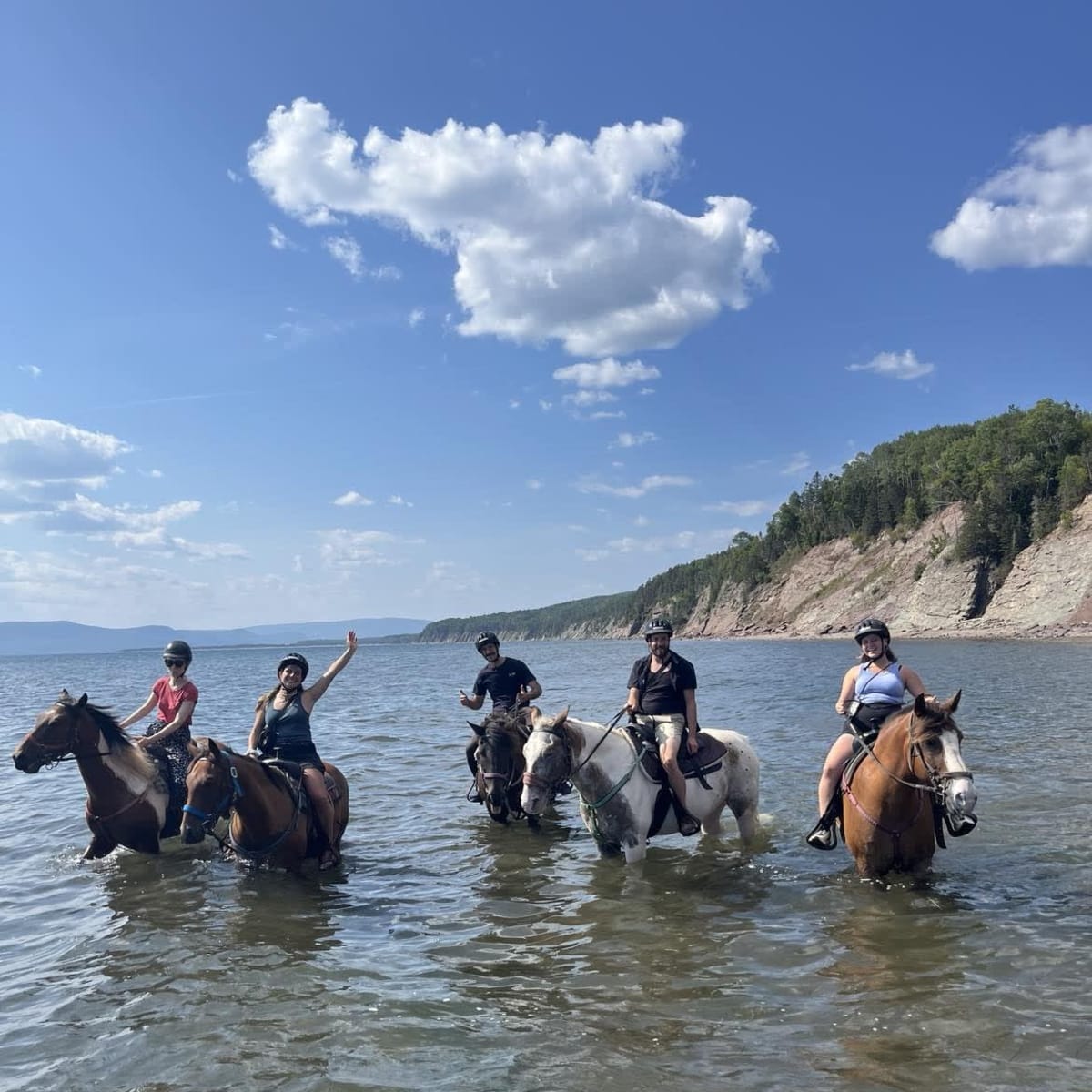 Équitation Centaure - Forillon