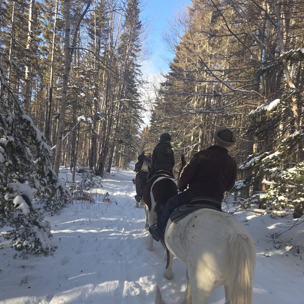 Équitation Centaure - Forillon