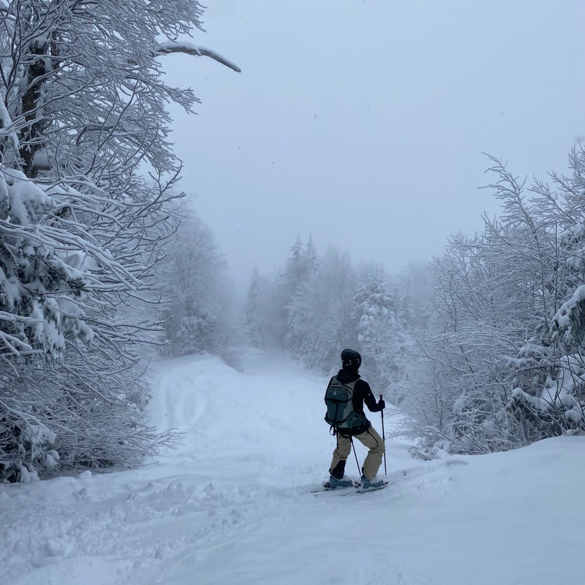 Person skiing down a snow-covered slope.