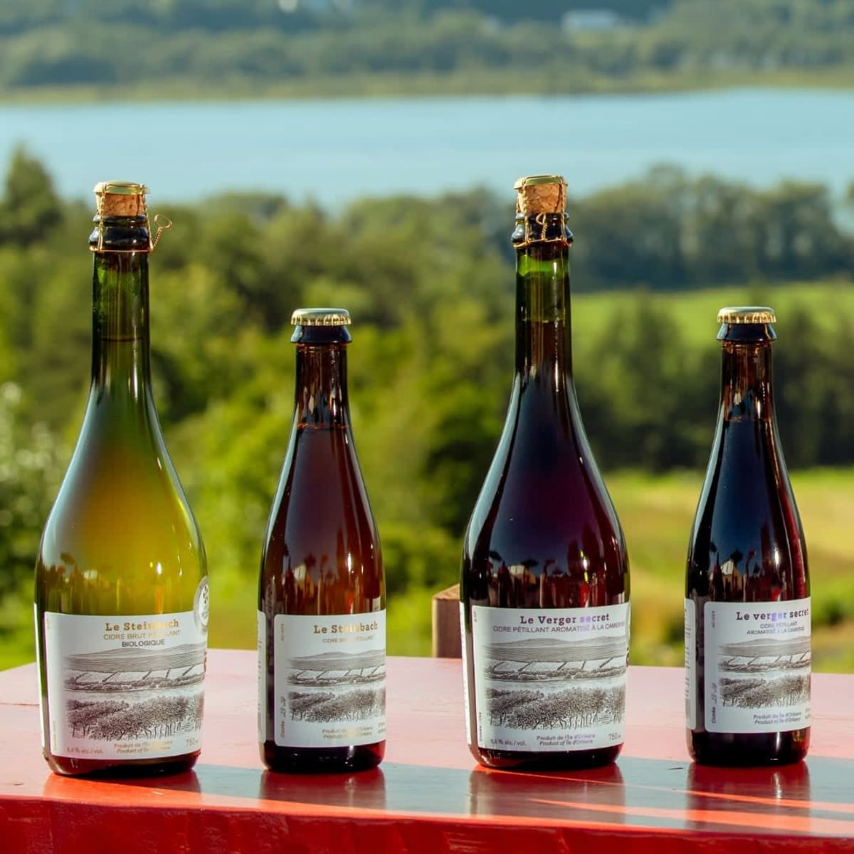 Cider selection from Domaine Steinbach - Cidrerie B&B, Distillerie, in the heart of Île d’Orléans.