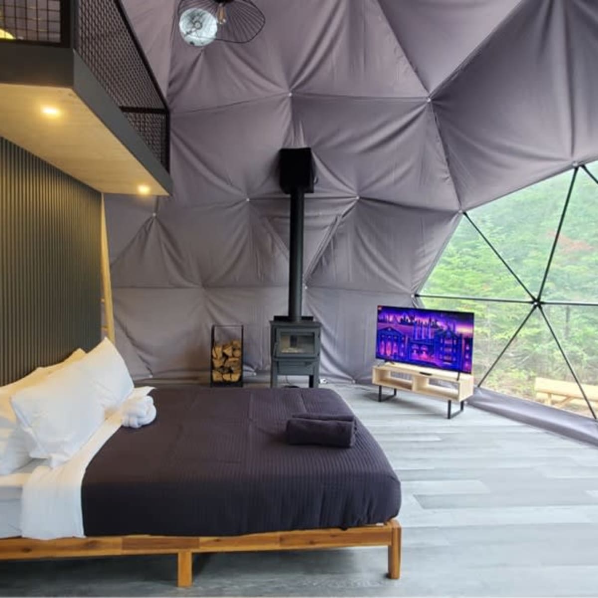 Bed and fireplace in the dome.