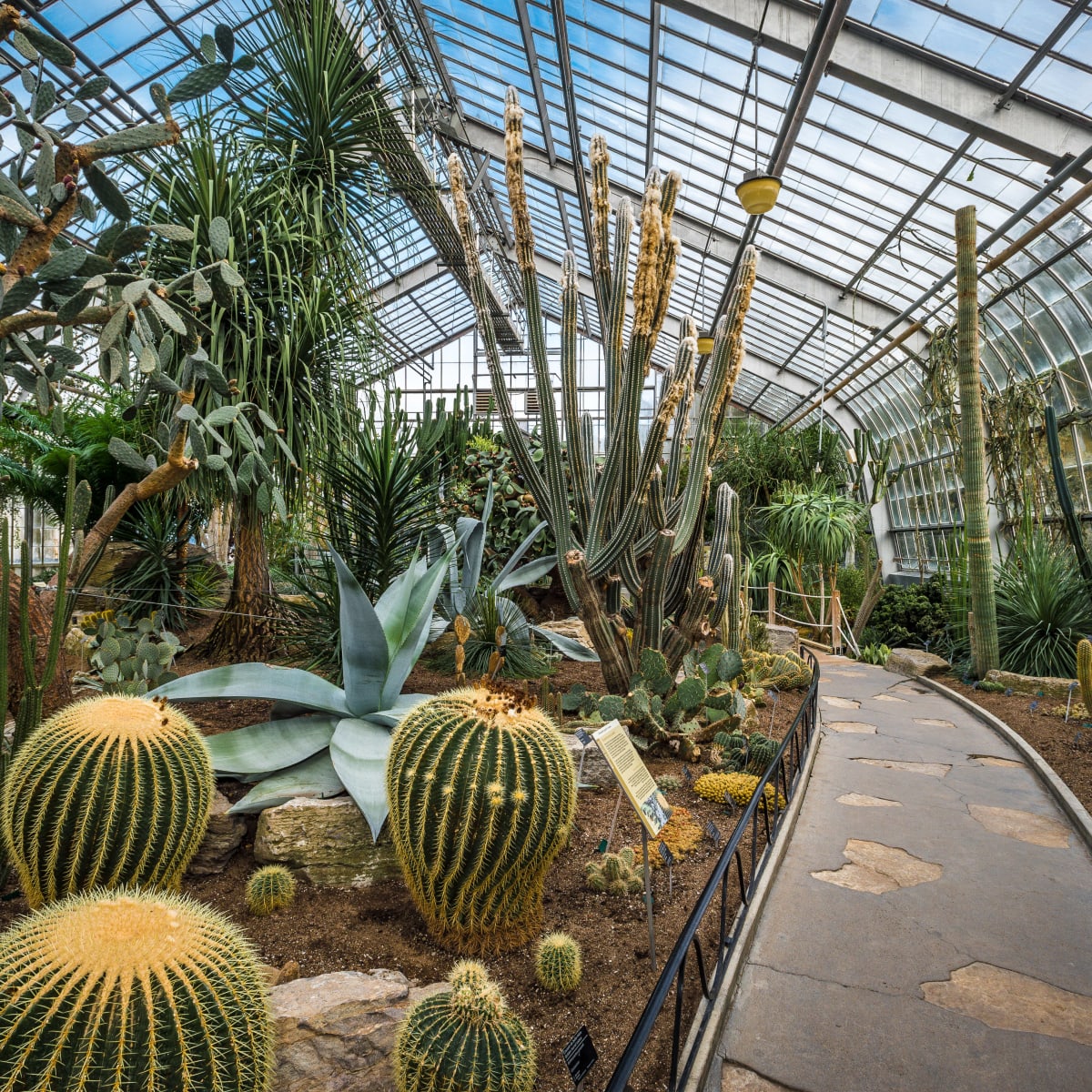 Jardin Botanique de Montréal.