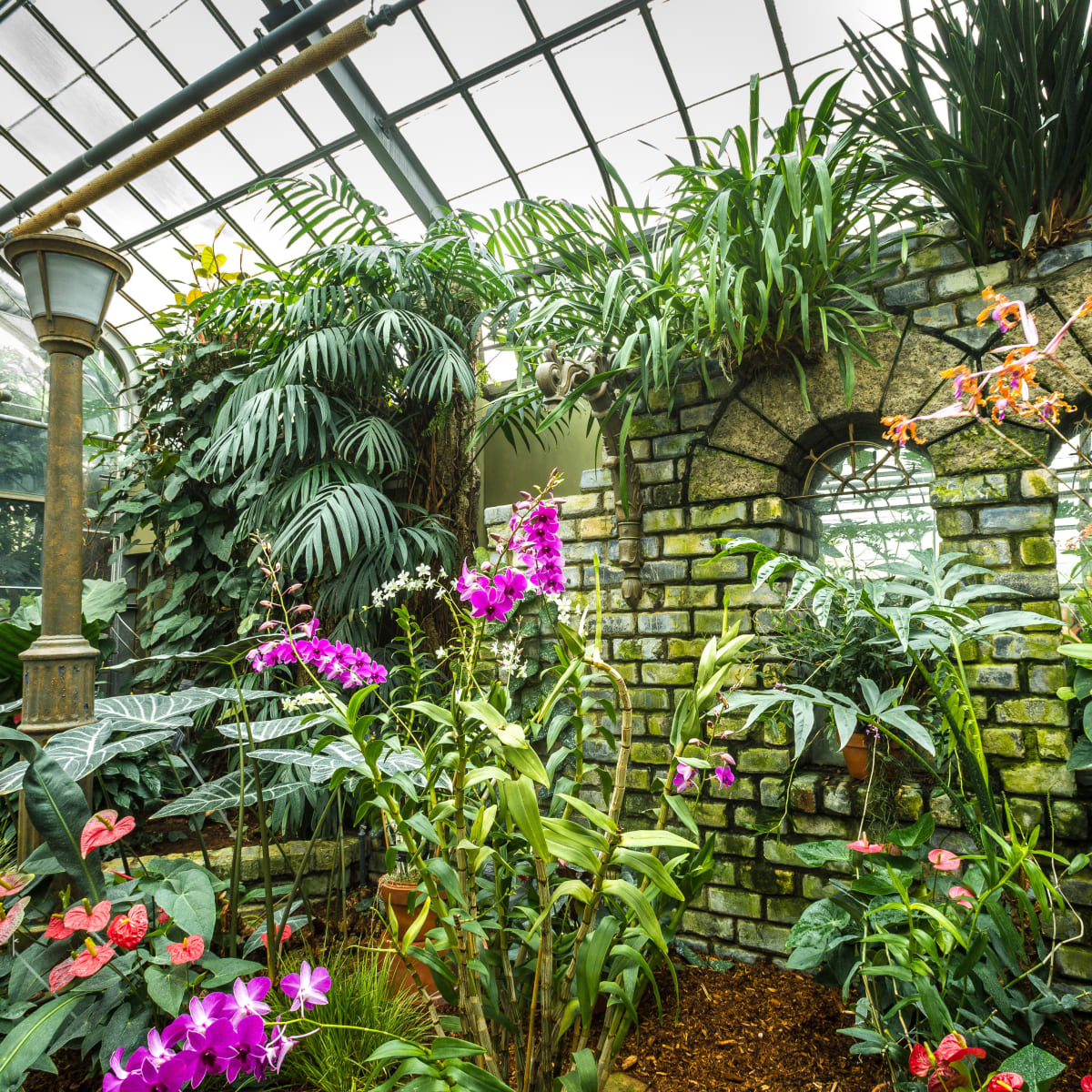 Jardin Botanique de Montréal.