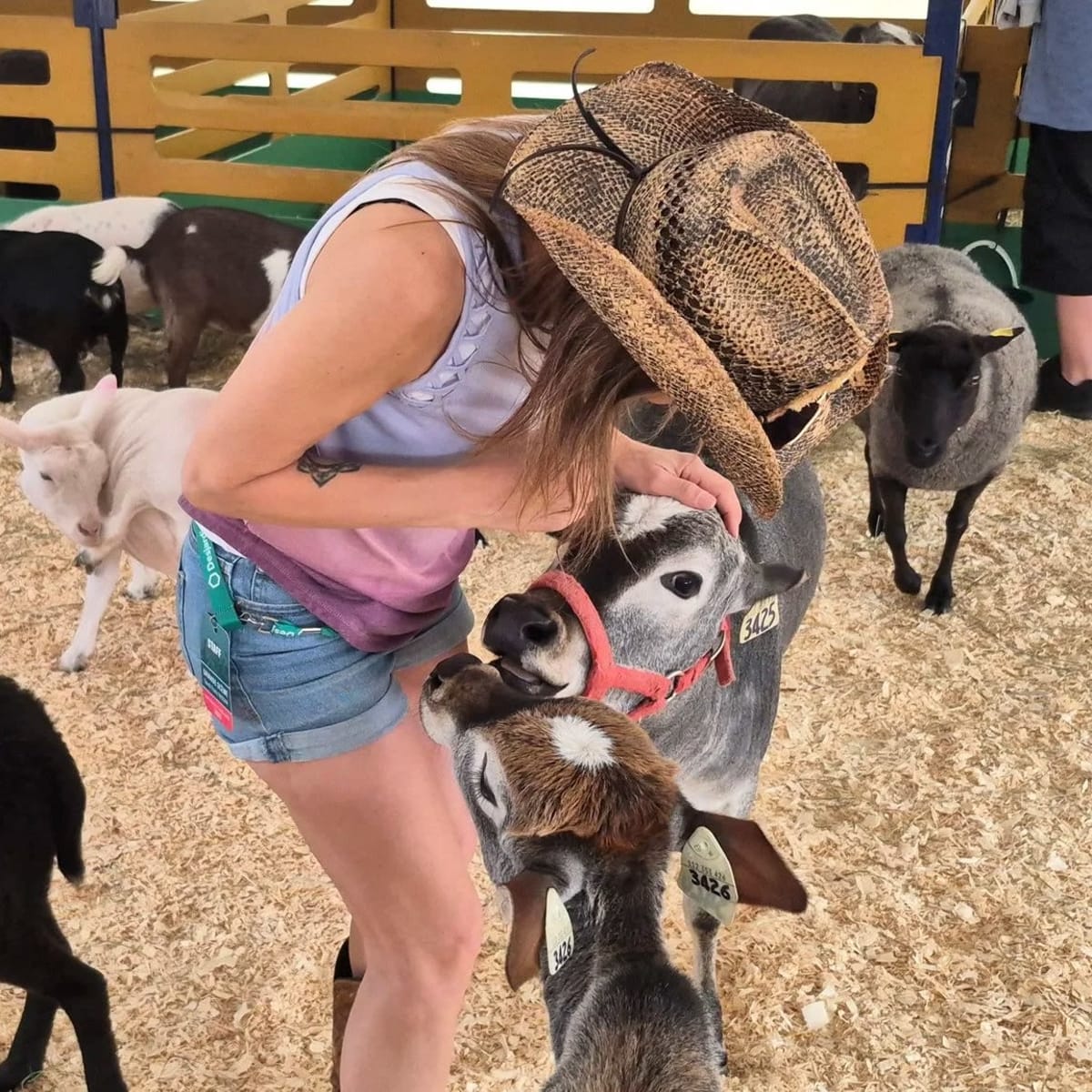 Ferme à l'Expo agricole de Sorel-Tracy.