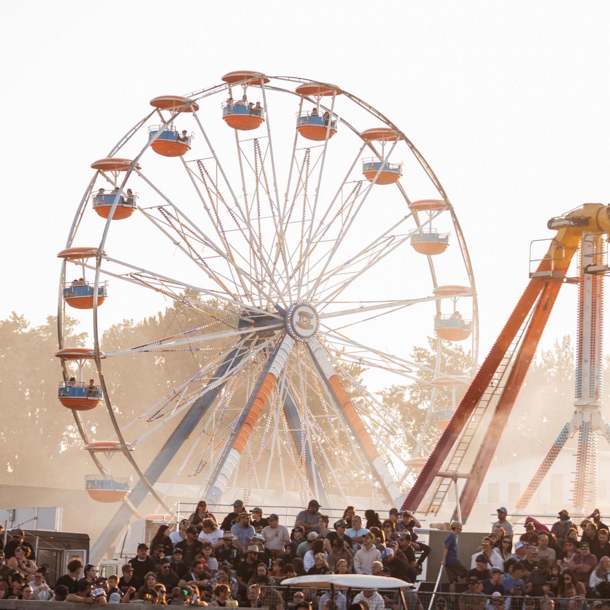 Carousels.