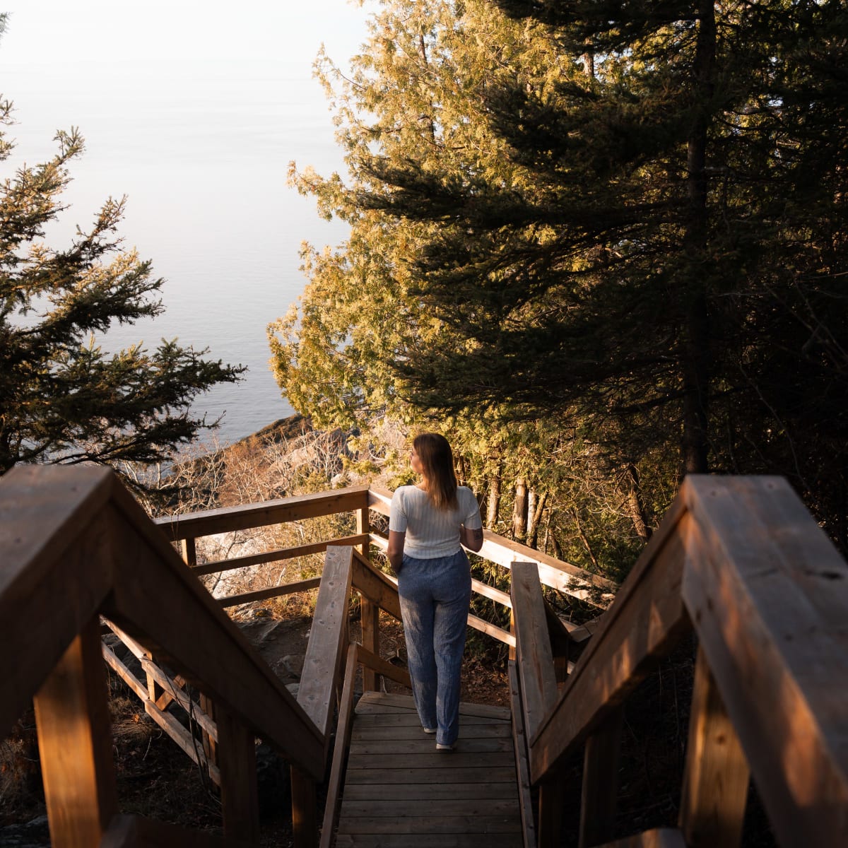 A woman walking down wooden stairs in a natural setting.