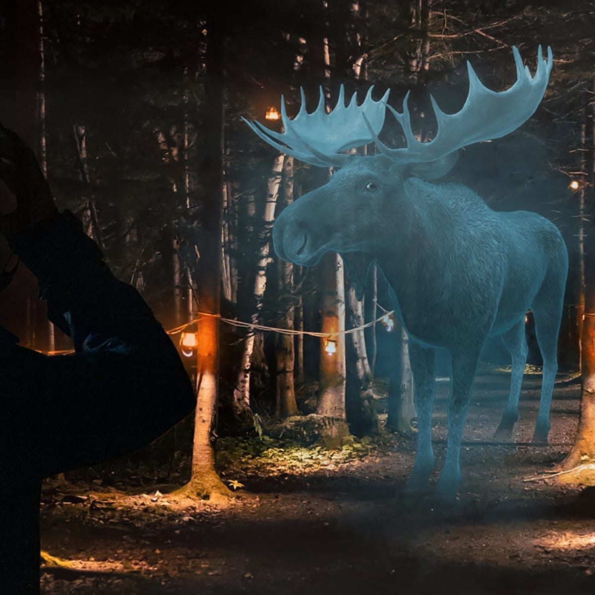 Fantöm : La chasse - Espace NAPAGA.