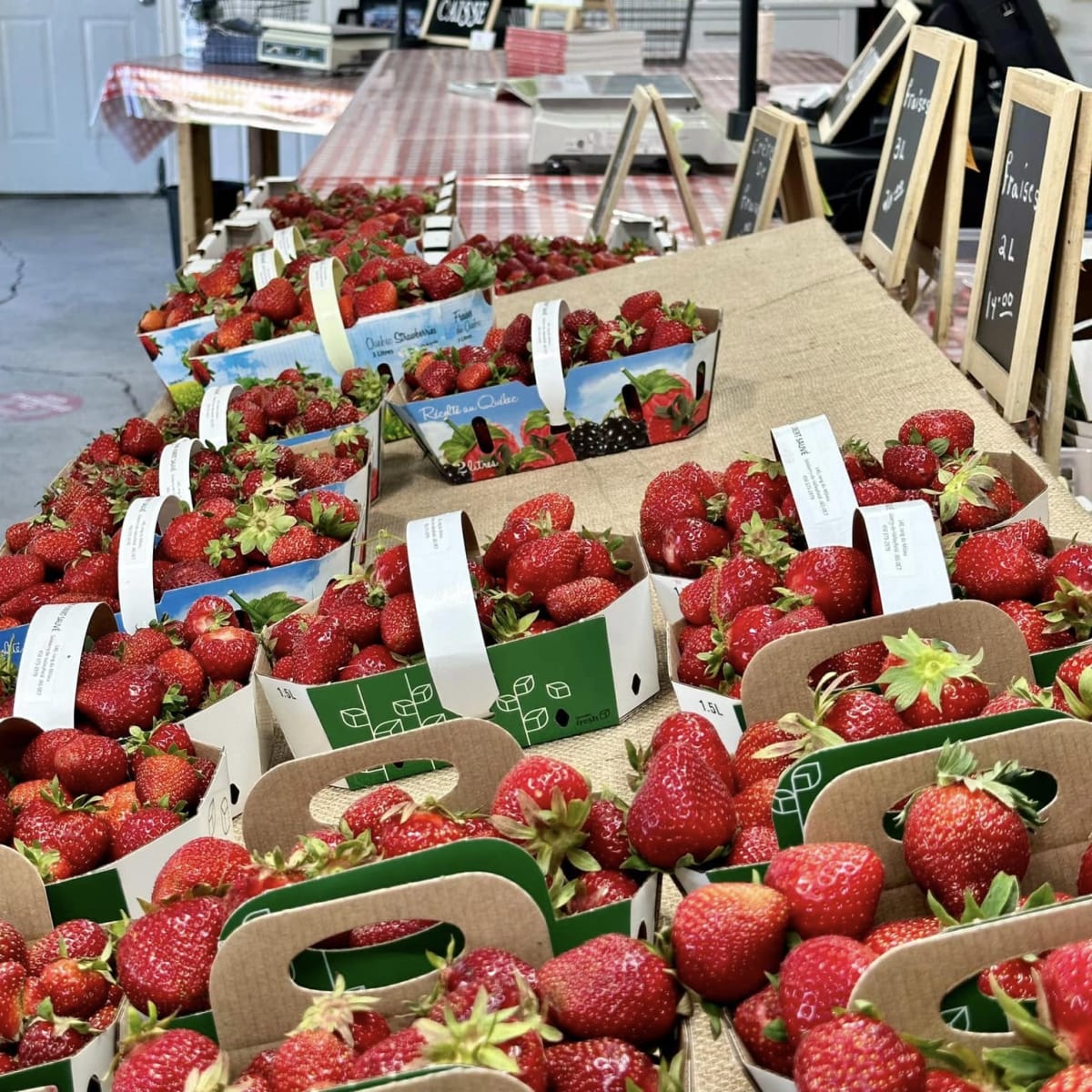 Strawberries at Ferme Hubert Sauvé.
