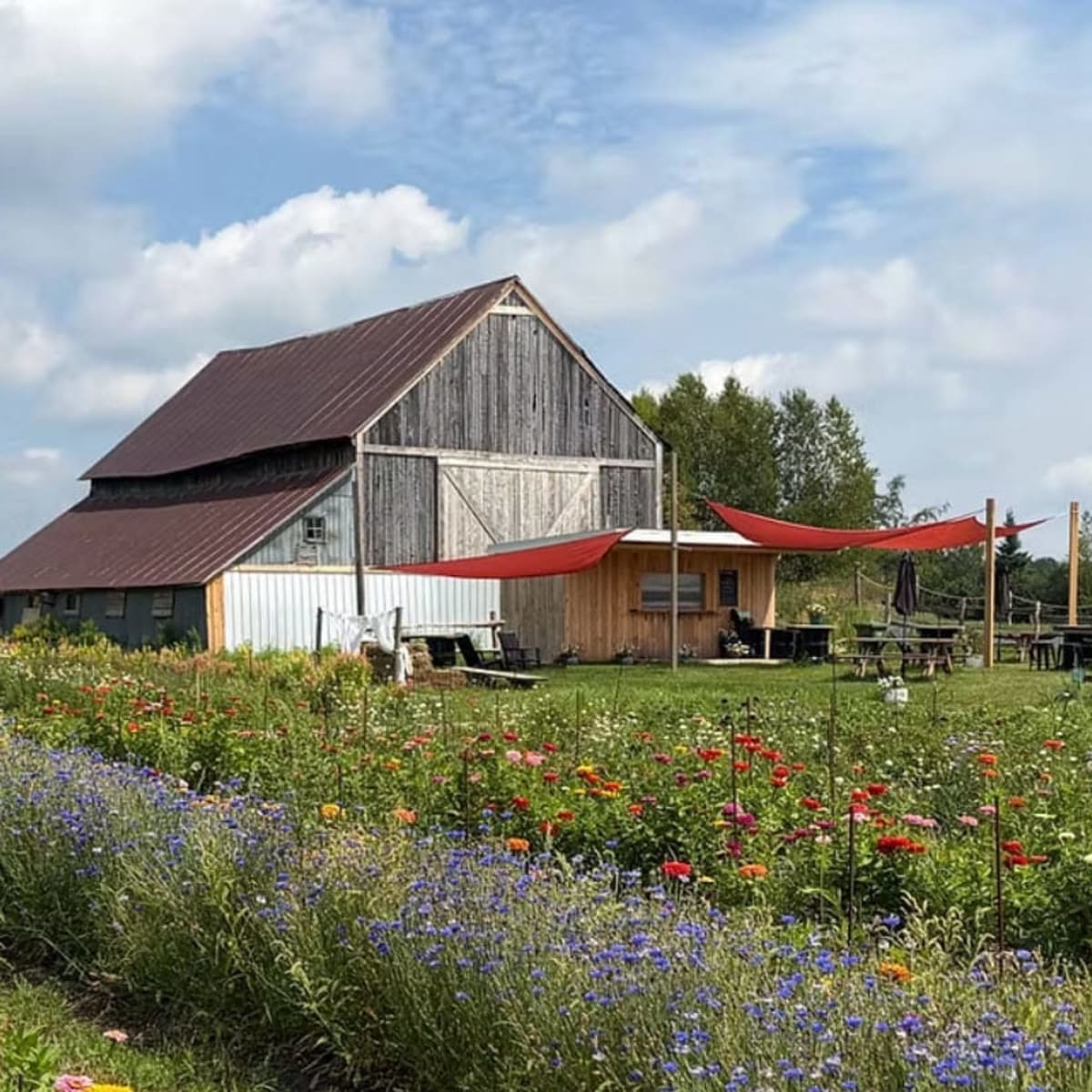 Ferme Les Indomptables en été.