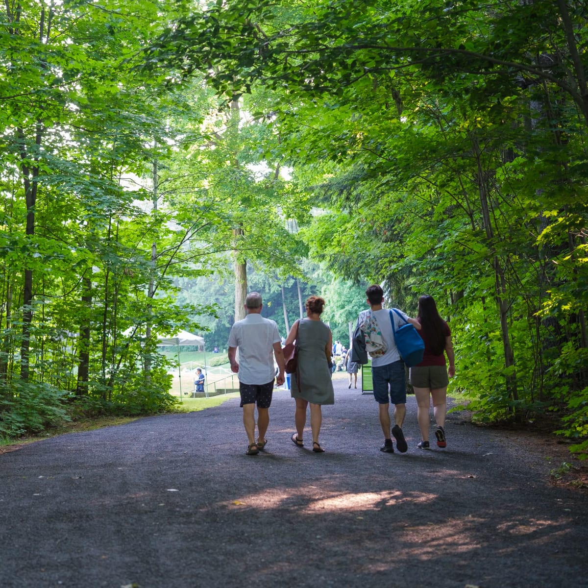 Entry - Festival de Lanaudière.