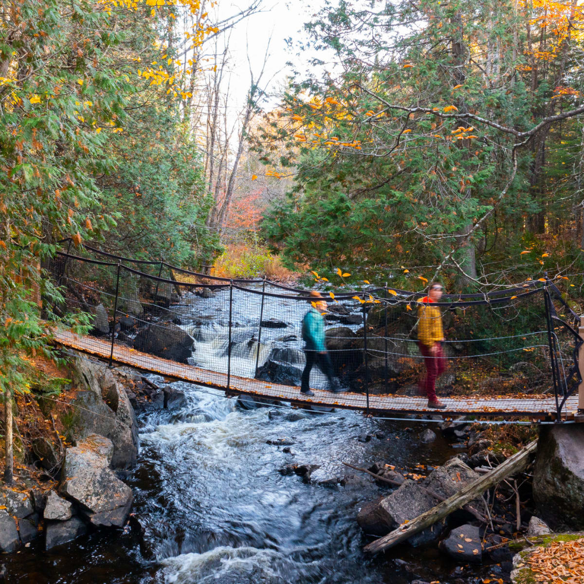Two individuals walk across a suspension bridge in Parc régional Montagne du Diable.