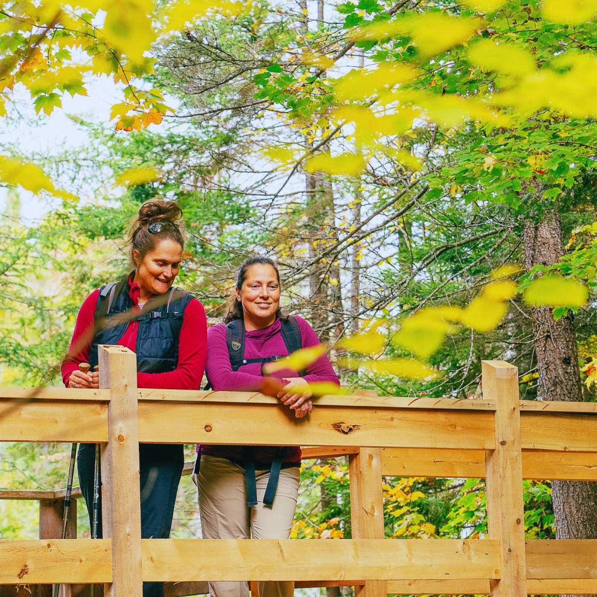 Two women on a wooden bridge in Parc régional Montagne du Diable, in autumn.
