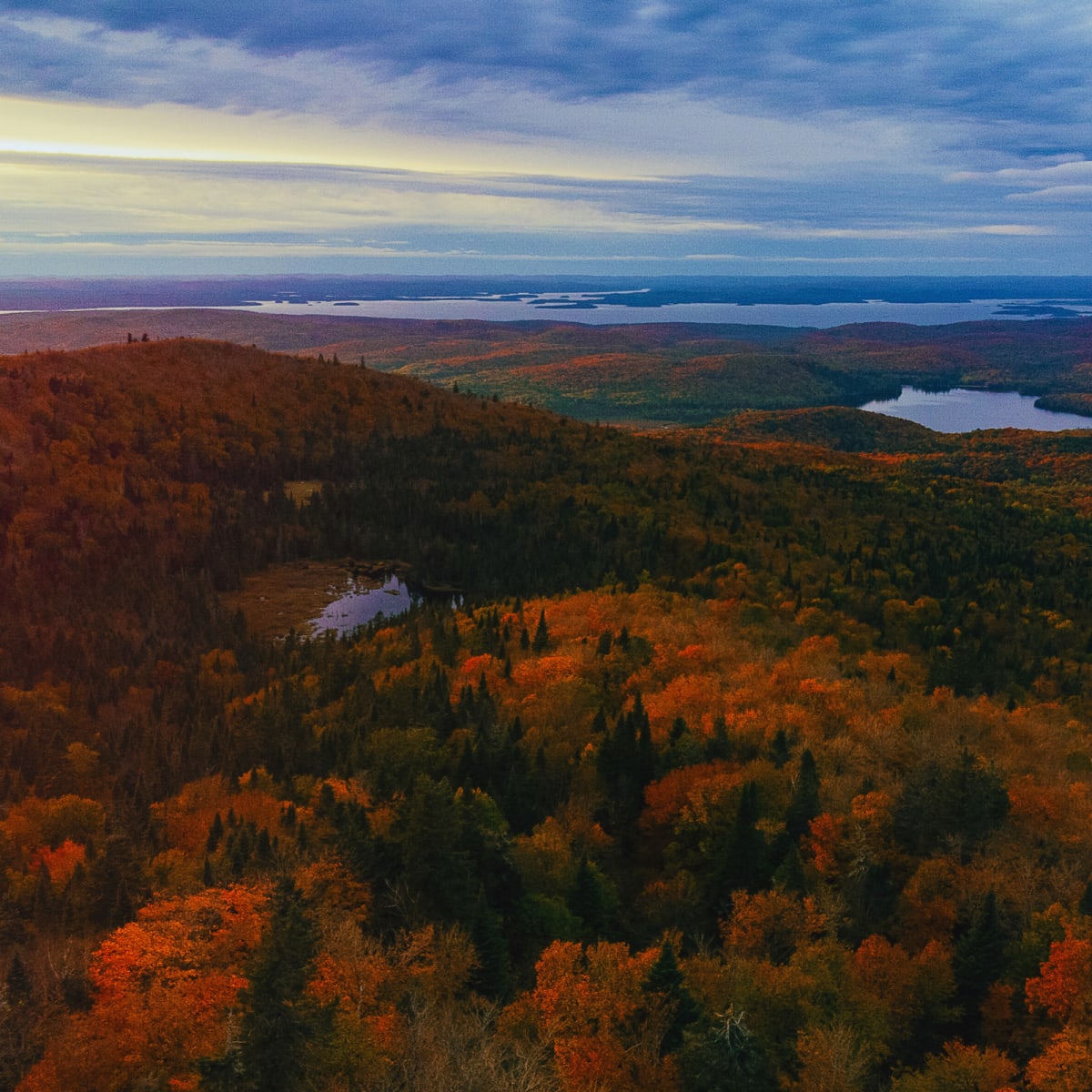 Aerial view of the forest in Parc régional Montagne du Diable in autumn.