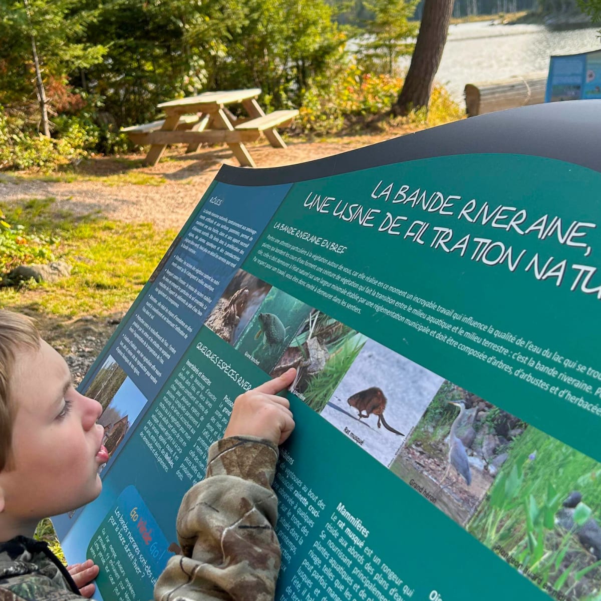 A child looks at an interpretive sign at Parc régional Montagne du Diable.