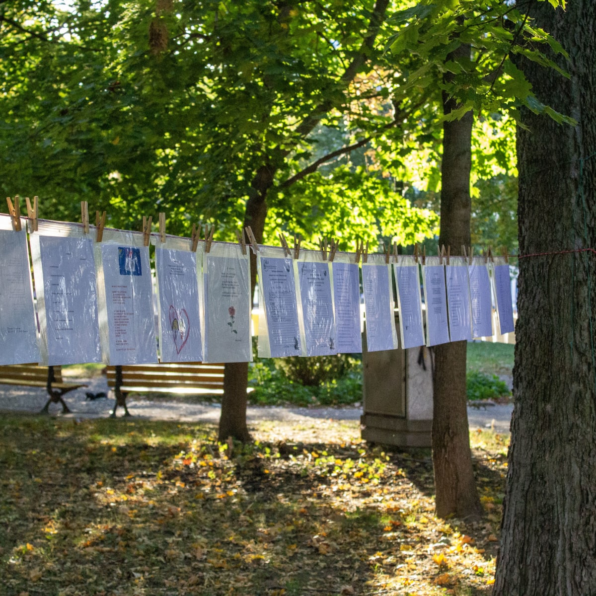 Sheets of paper on a clothesline.