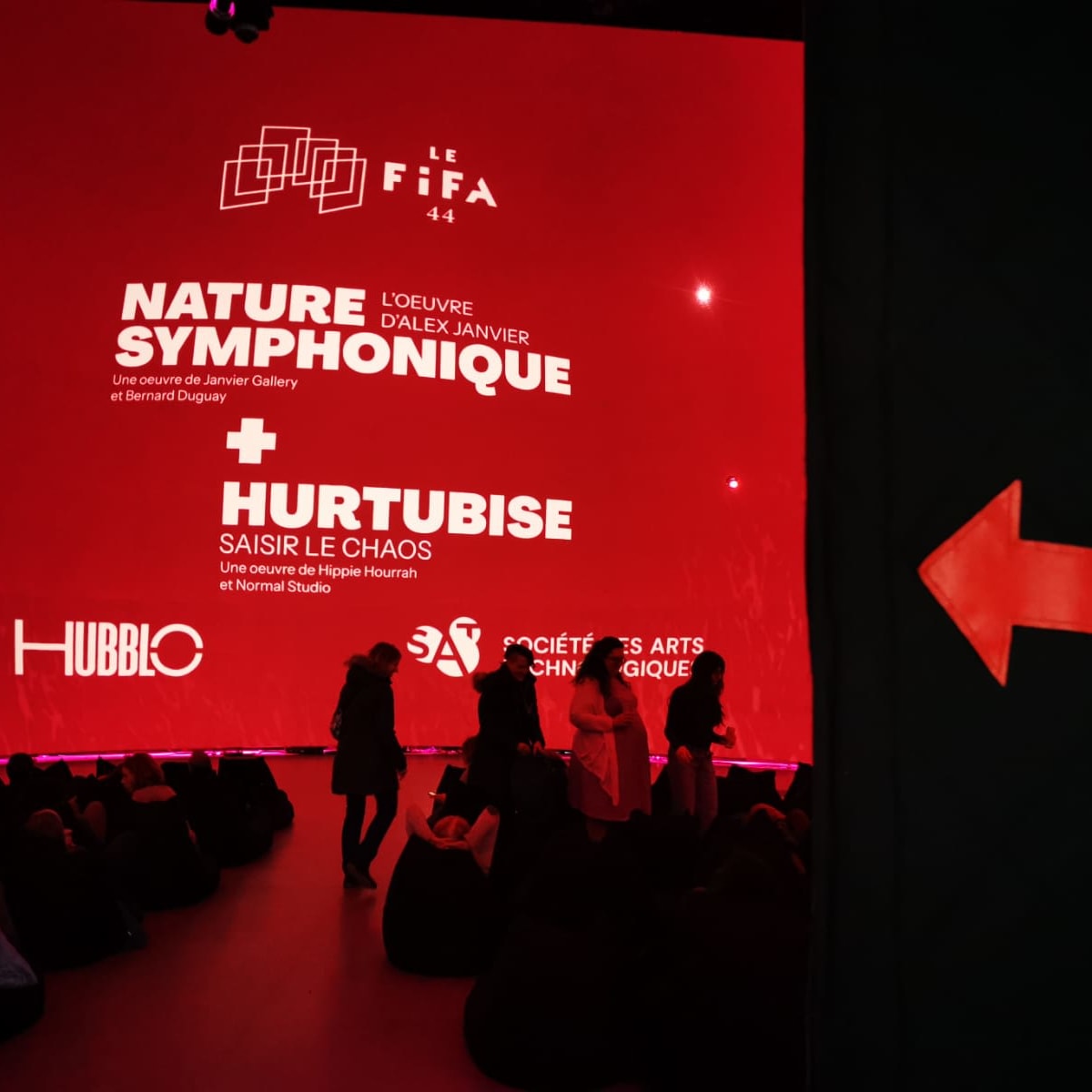 Screening, Festival International du Film sur l'Art (Le FIFA).