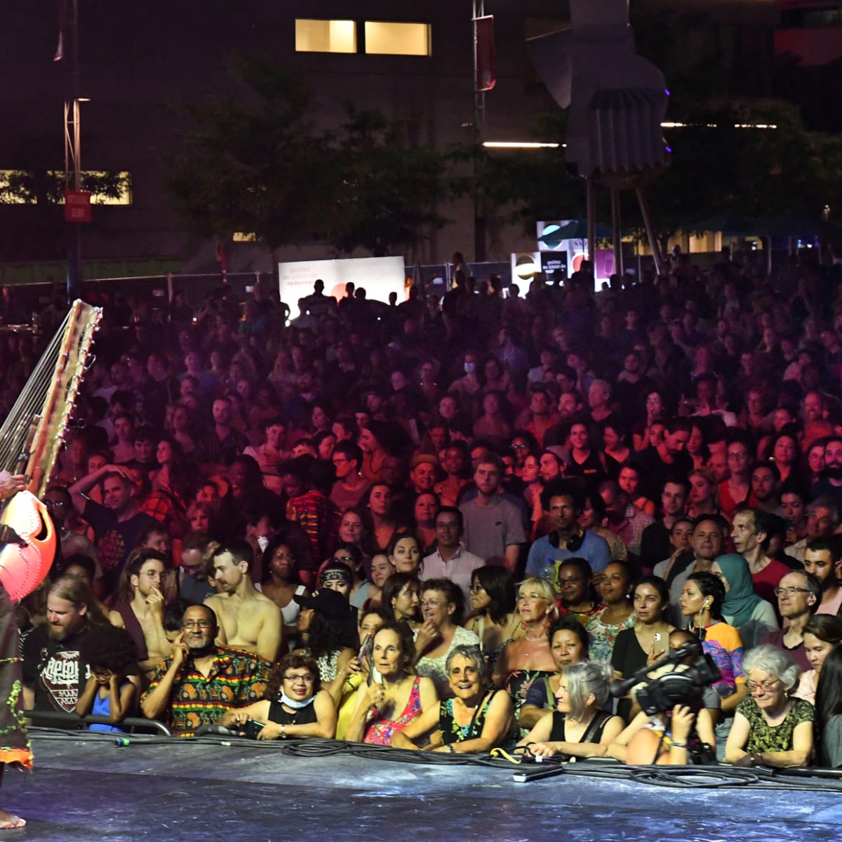 Festival international Nuits d'Afrique - A musician on stage