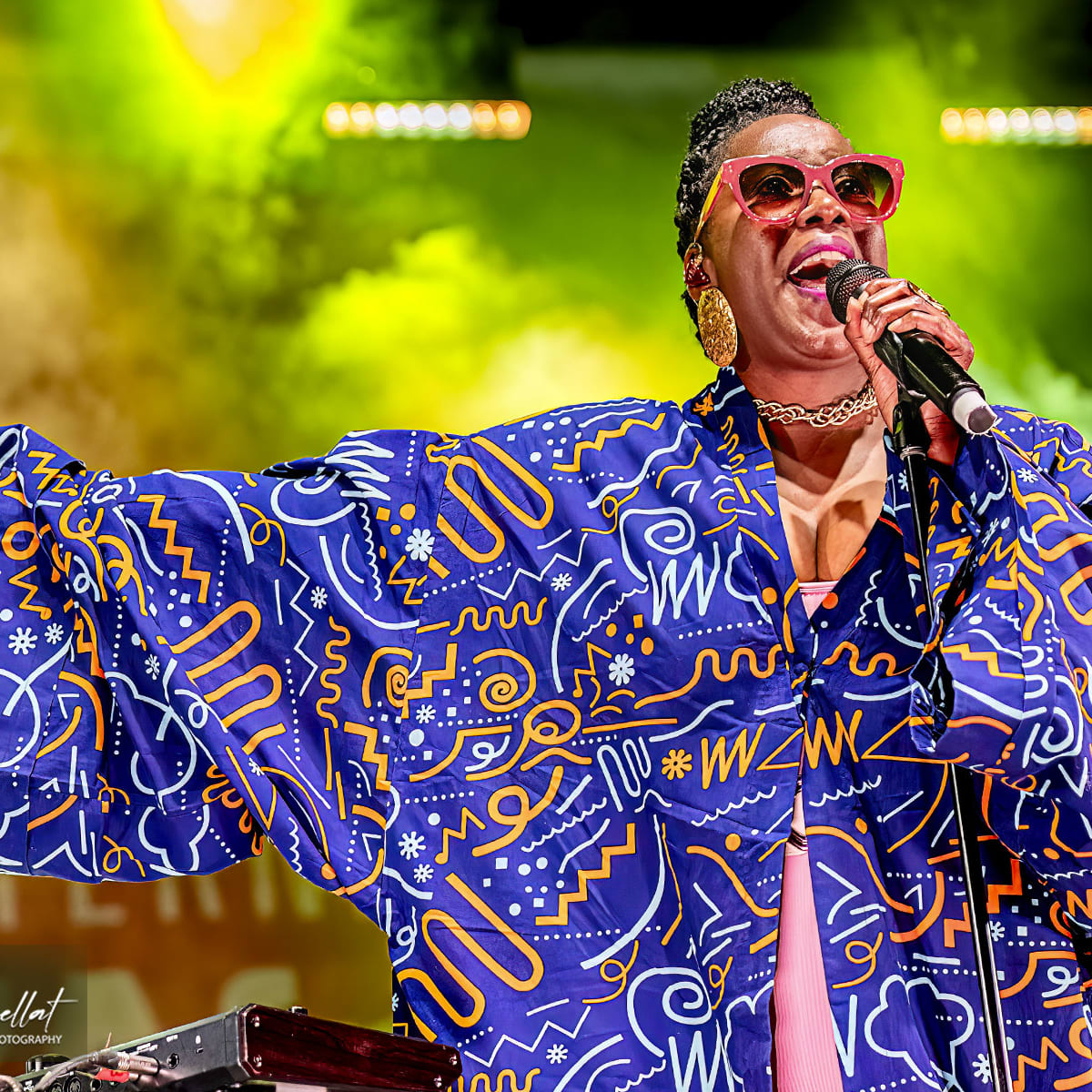 Festival international Nuits d'Afrique - An artist singing
