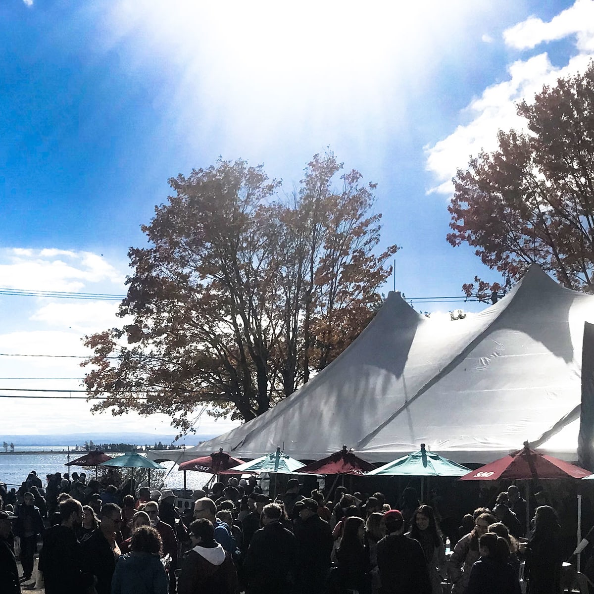 Festival La Virée Trad
