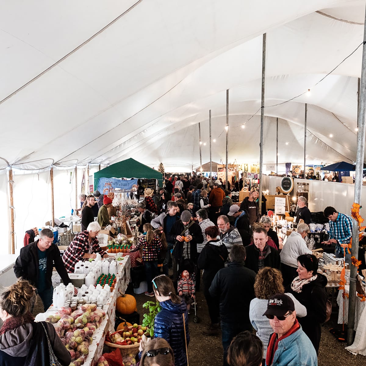 Festival La Virée Trad
