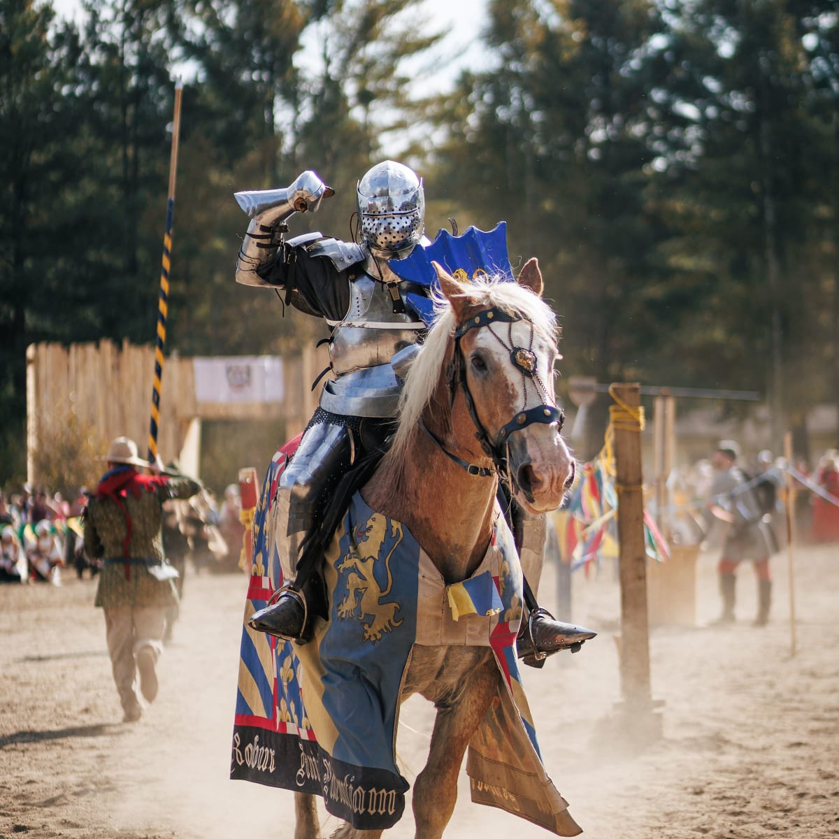 The festival Médiéval de Montpellier.