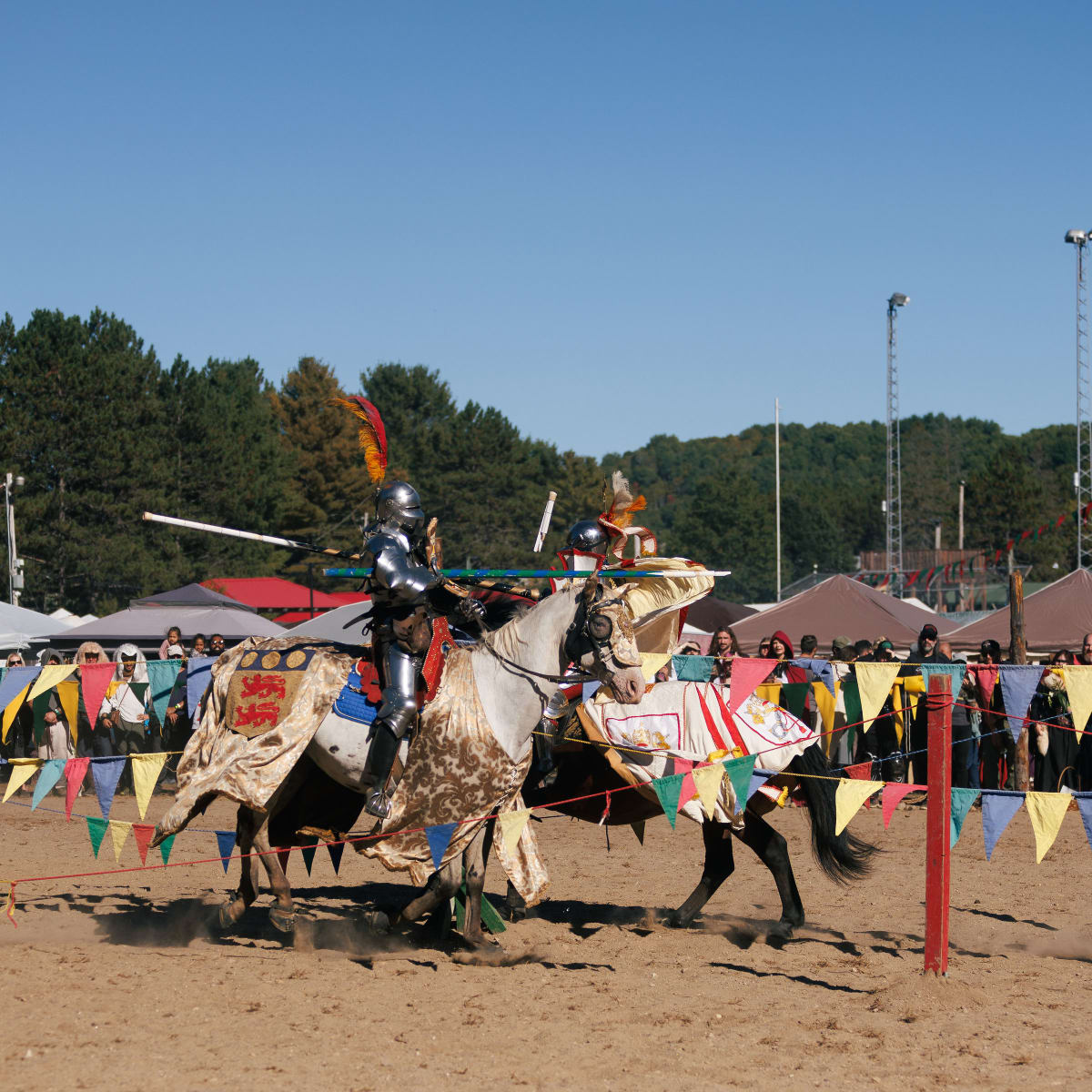 The festival Médiéval de Montpellier.
