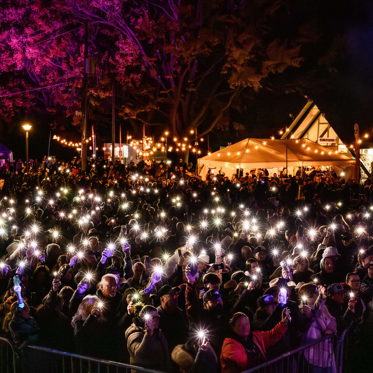 Festival Trad-Cajun
