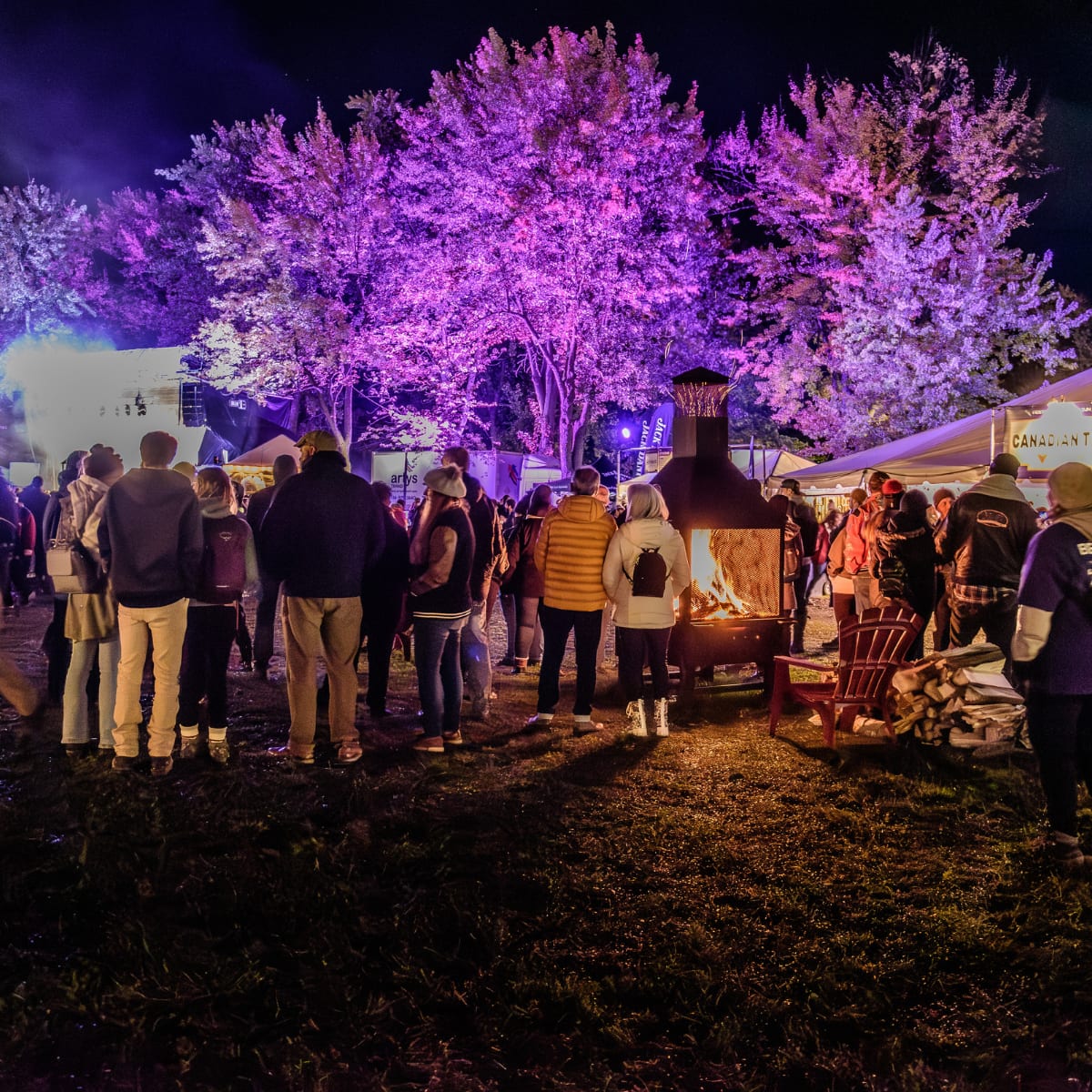 Festival Trad-Cajun