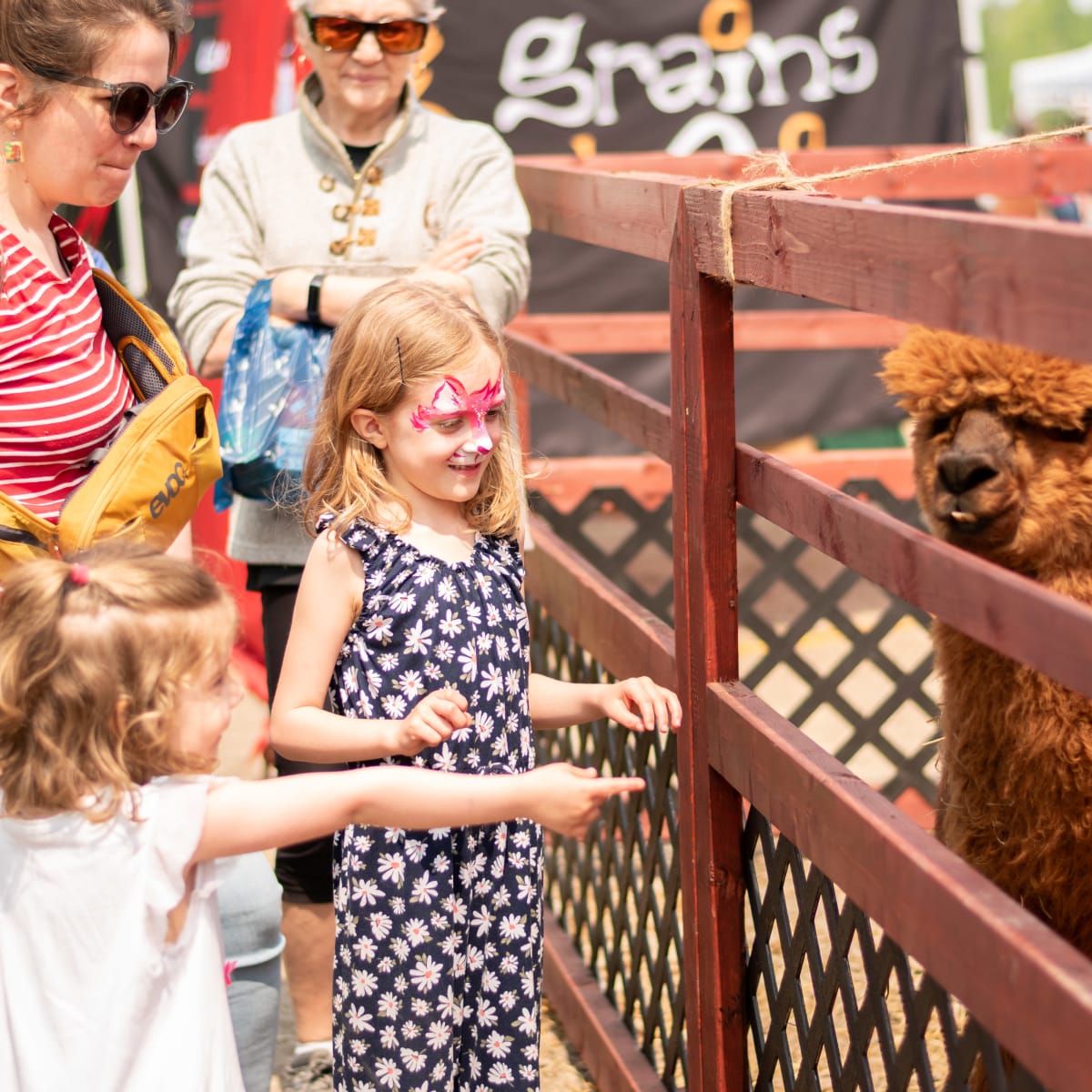 Festival Western de Trois-Pistoles