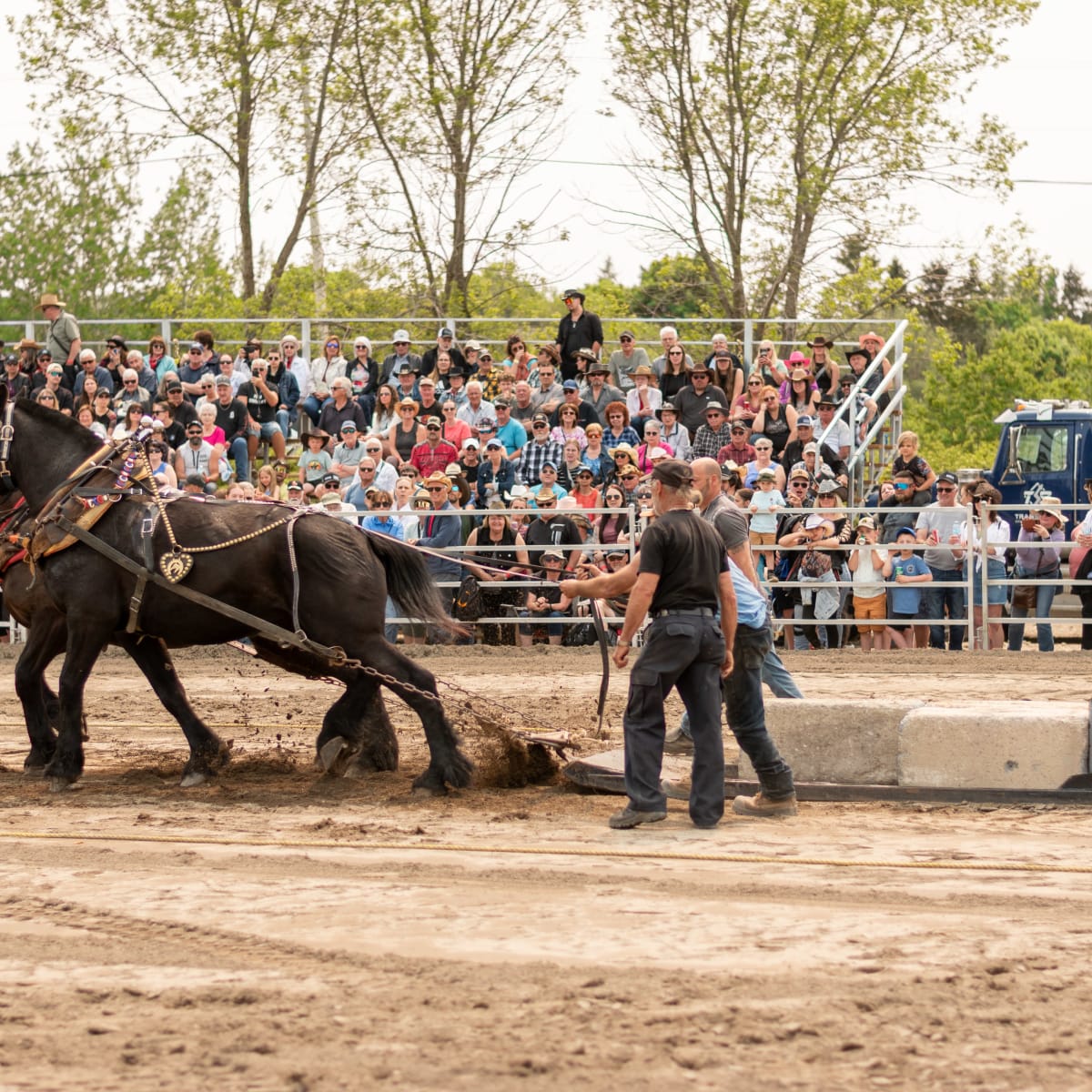 Festival Western de Trois-Pistoles