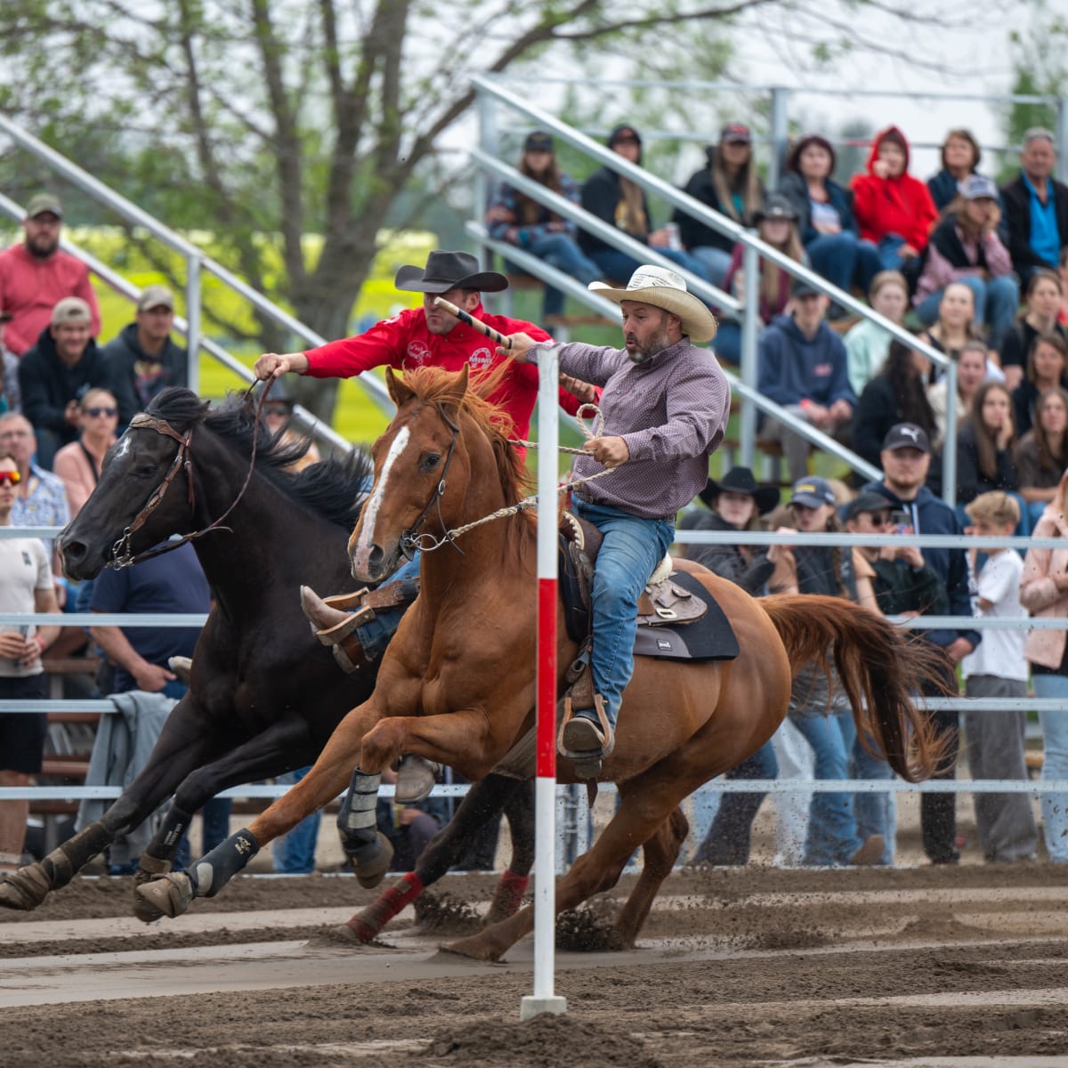 Festival Western de Trois-Pistoles