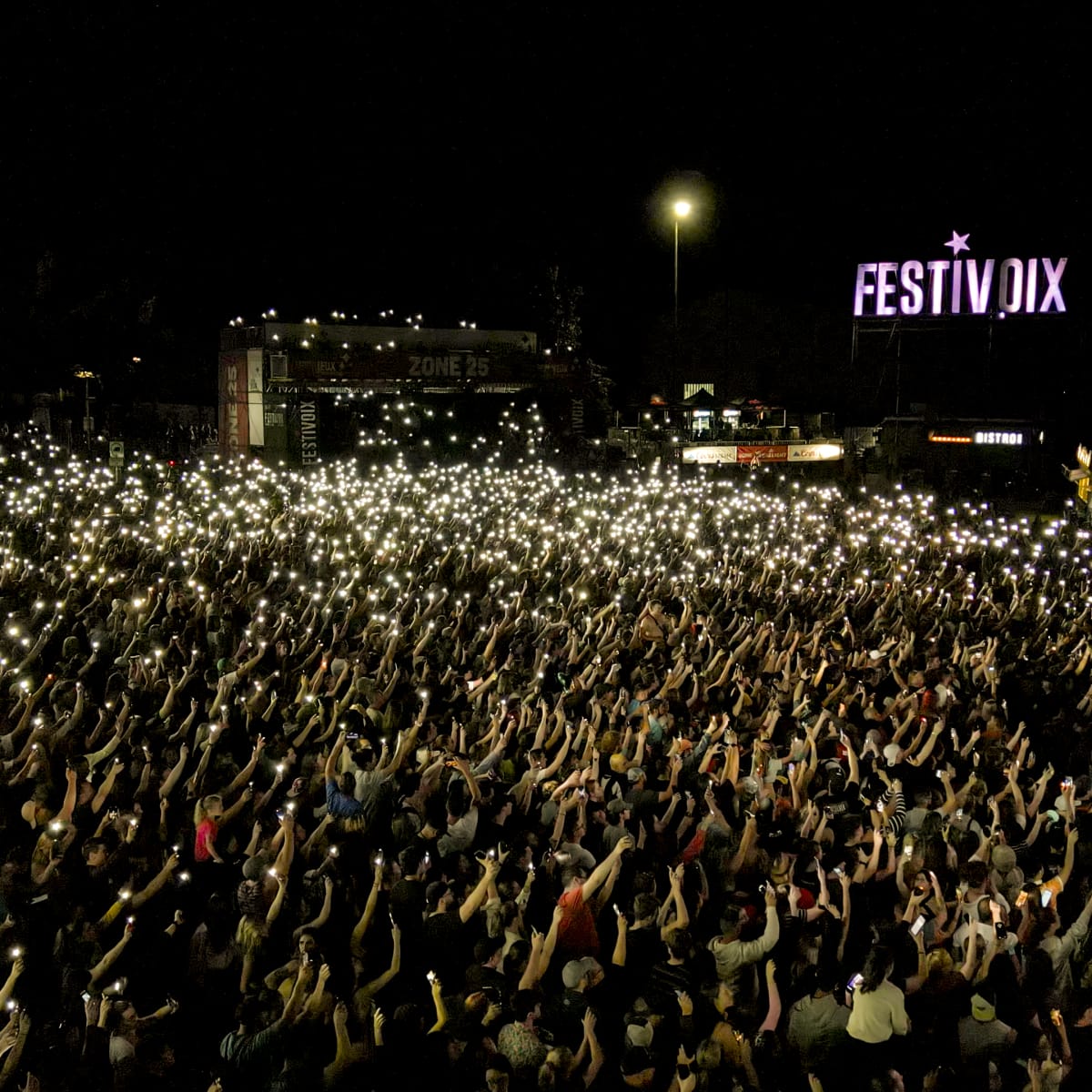 Festival crowd at night.
