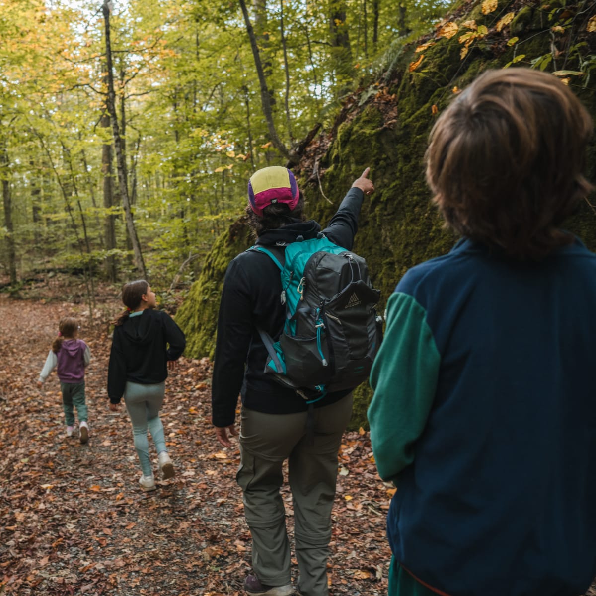 Group of people hiking in nature in the fall