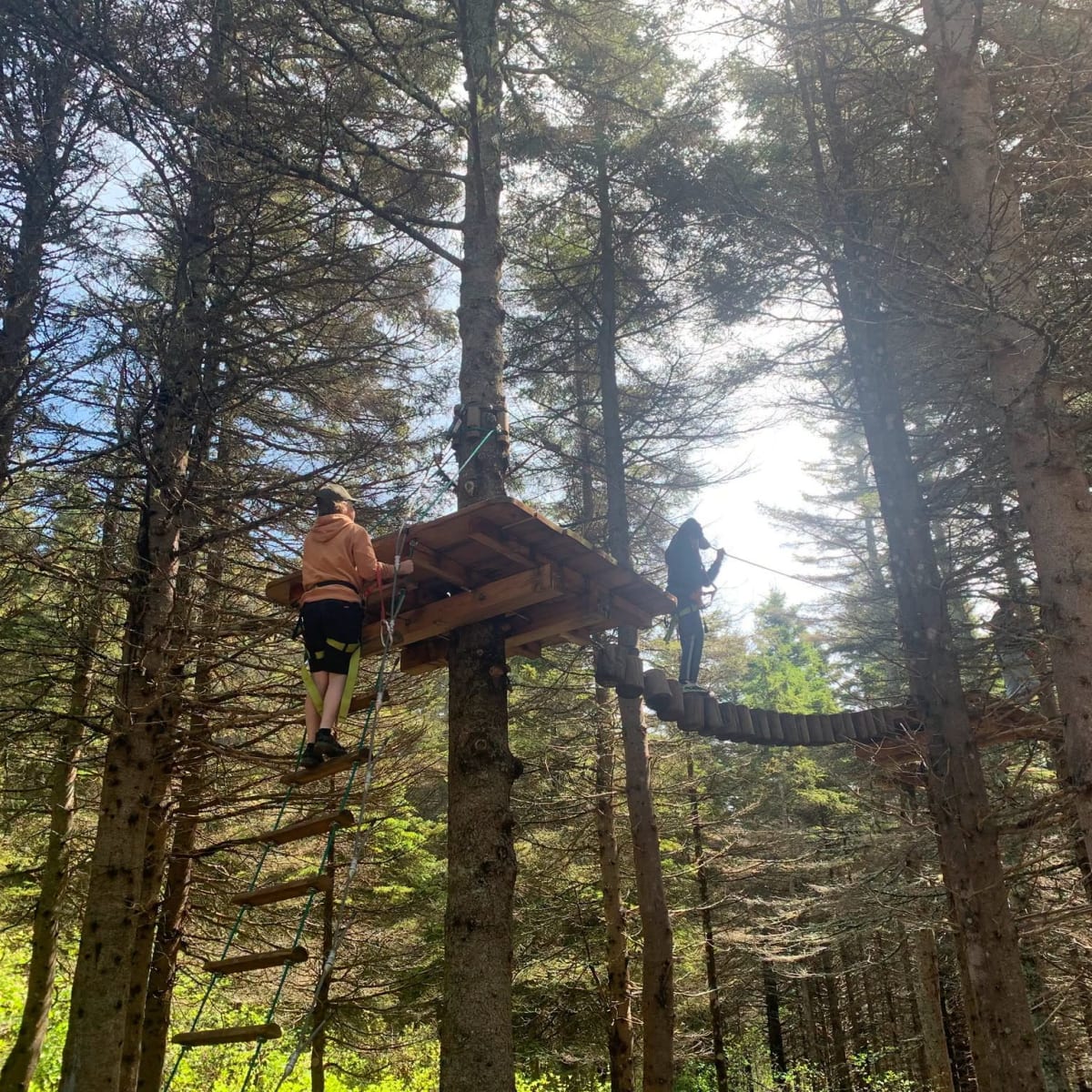 Children in a tree-top adventure park in the forest.