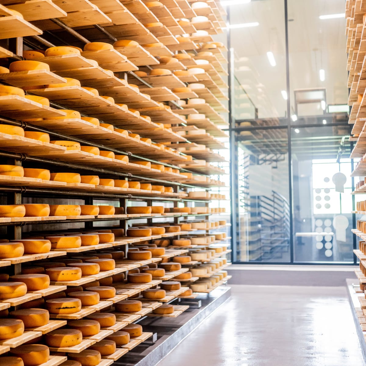 Fromagerie La Station - Shelves filled with cheese.