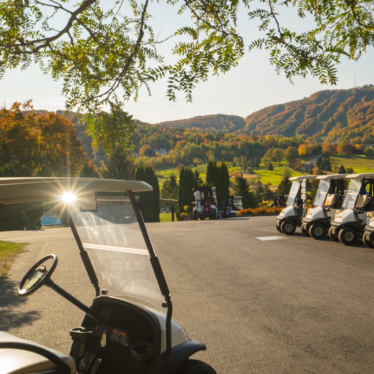 Golf kart
