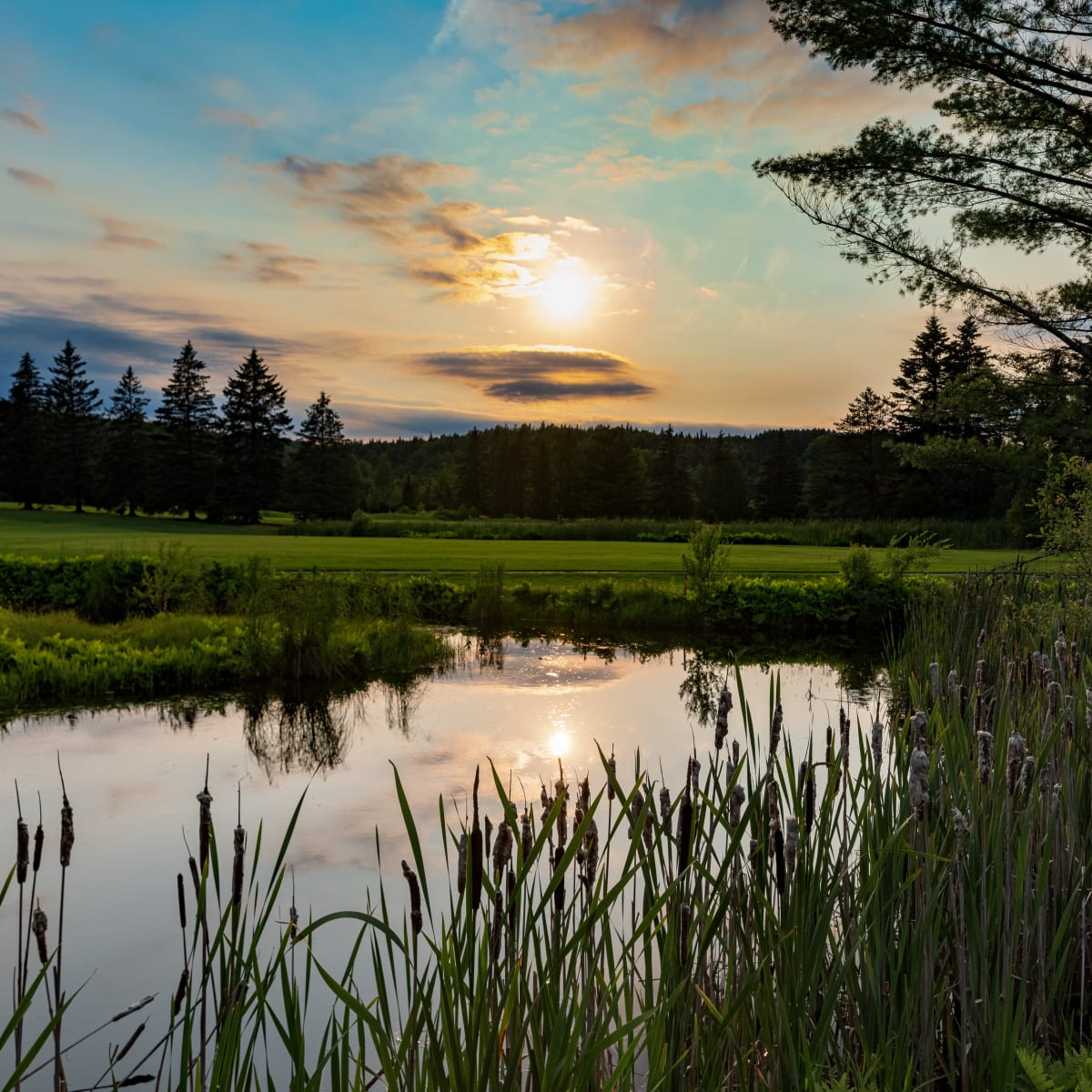 Golf Matha course with a pond and sunset.