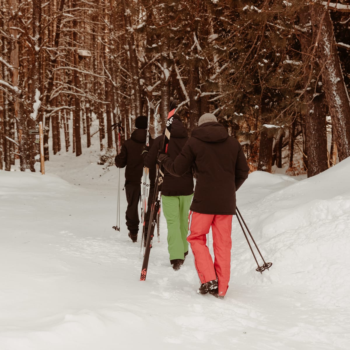 Group of people with their cross-country skis in hand.