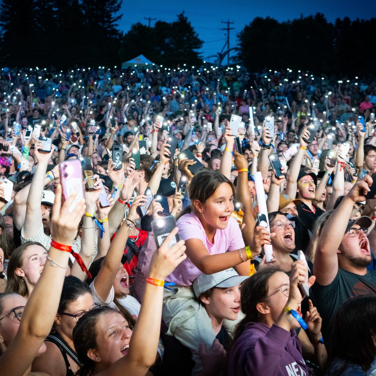 A lively crowd during a musical performance.
