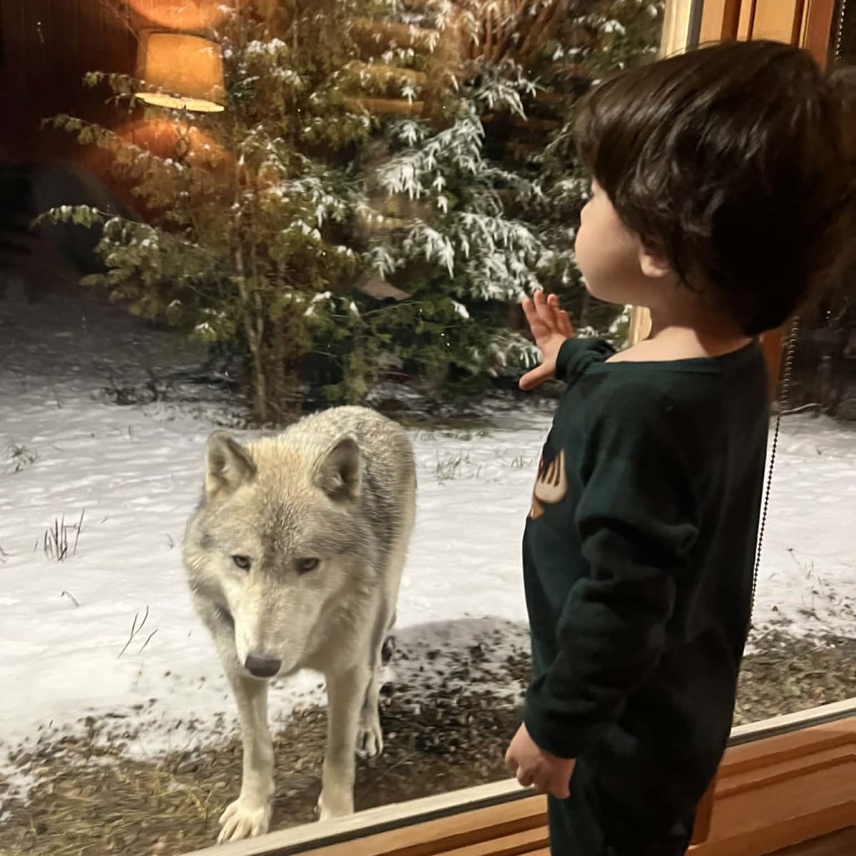 Sleeping with the wolves as a family, unusual family accommodation in Quebec.