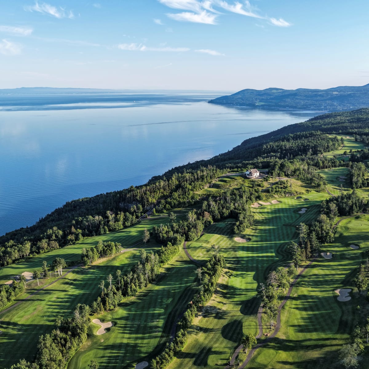 Forest surrounding the hotel.