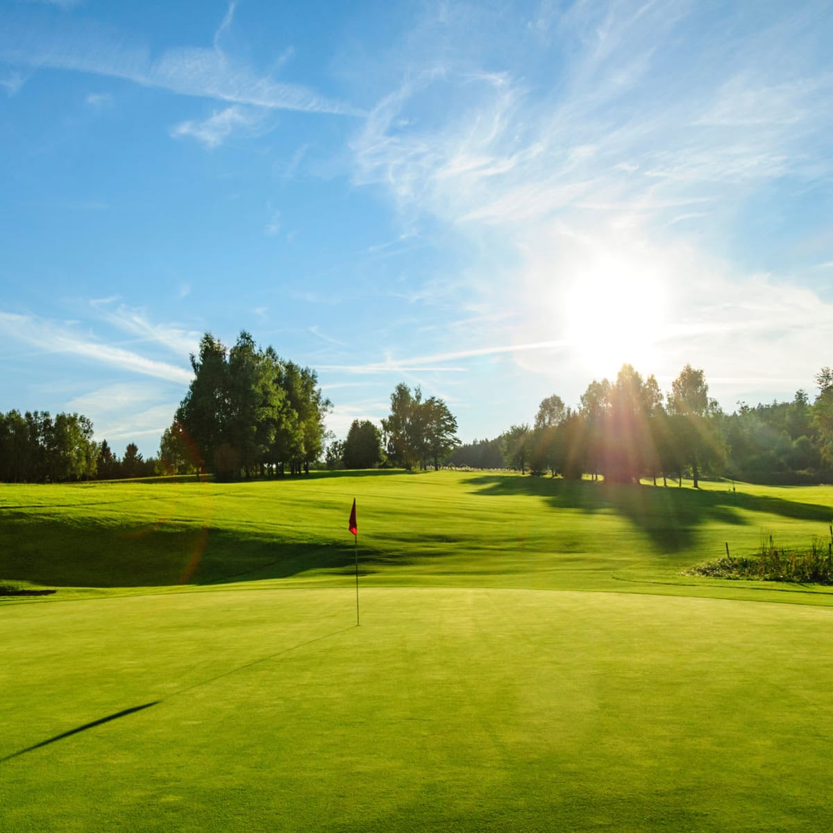 Terrain de golf ensoleillé.