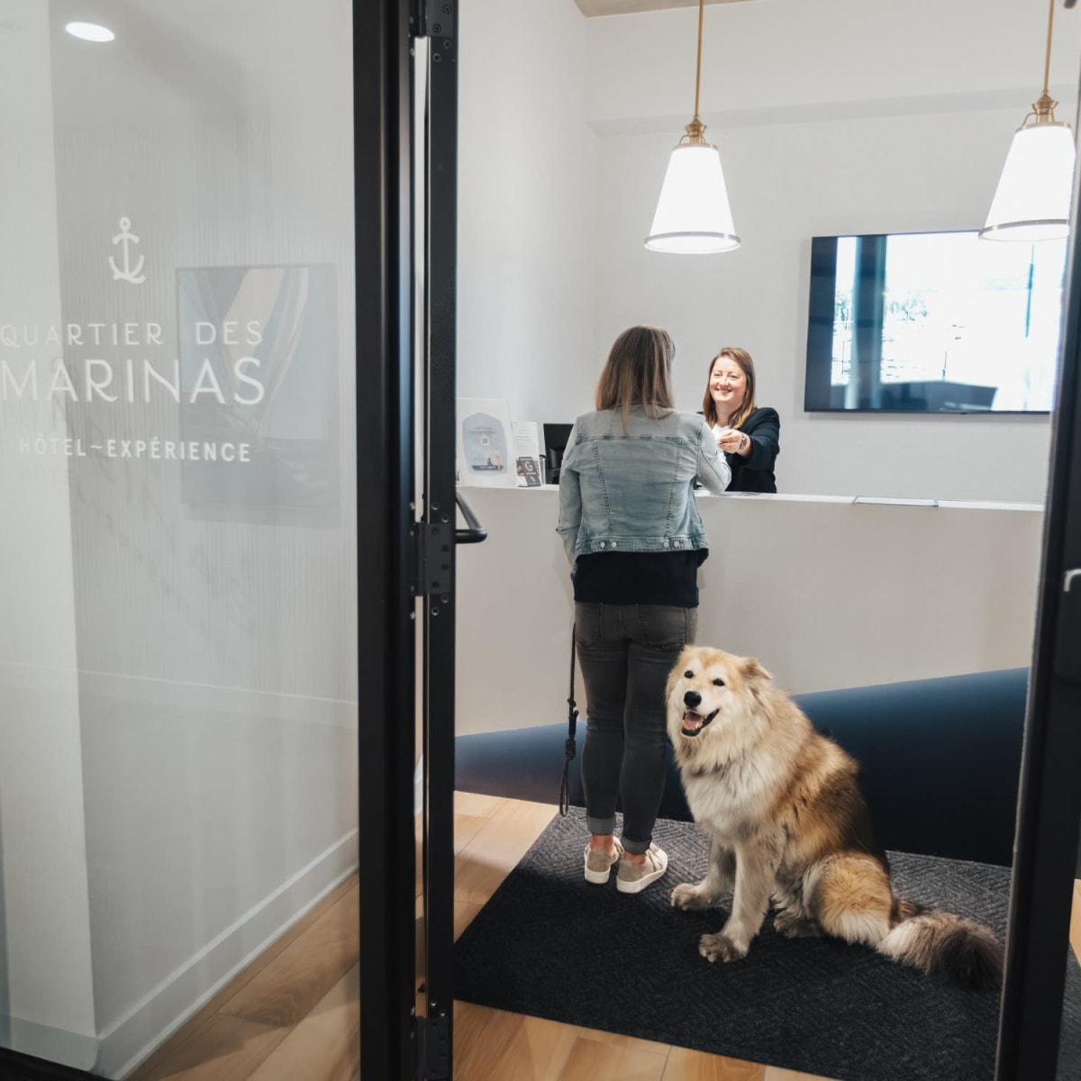 Dog at the Hôtel-Expérience Quartier des marinas.