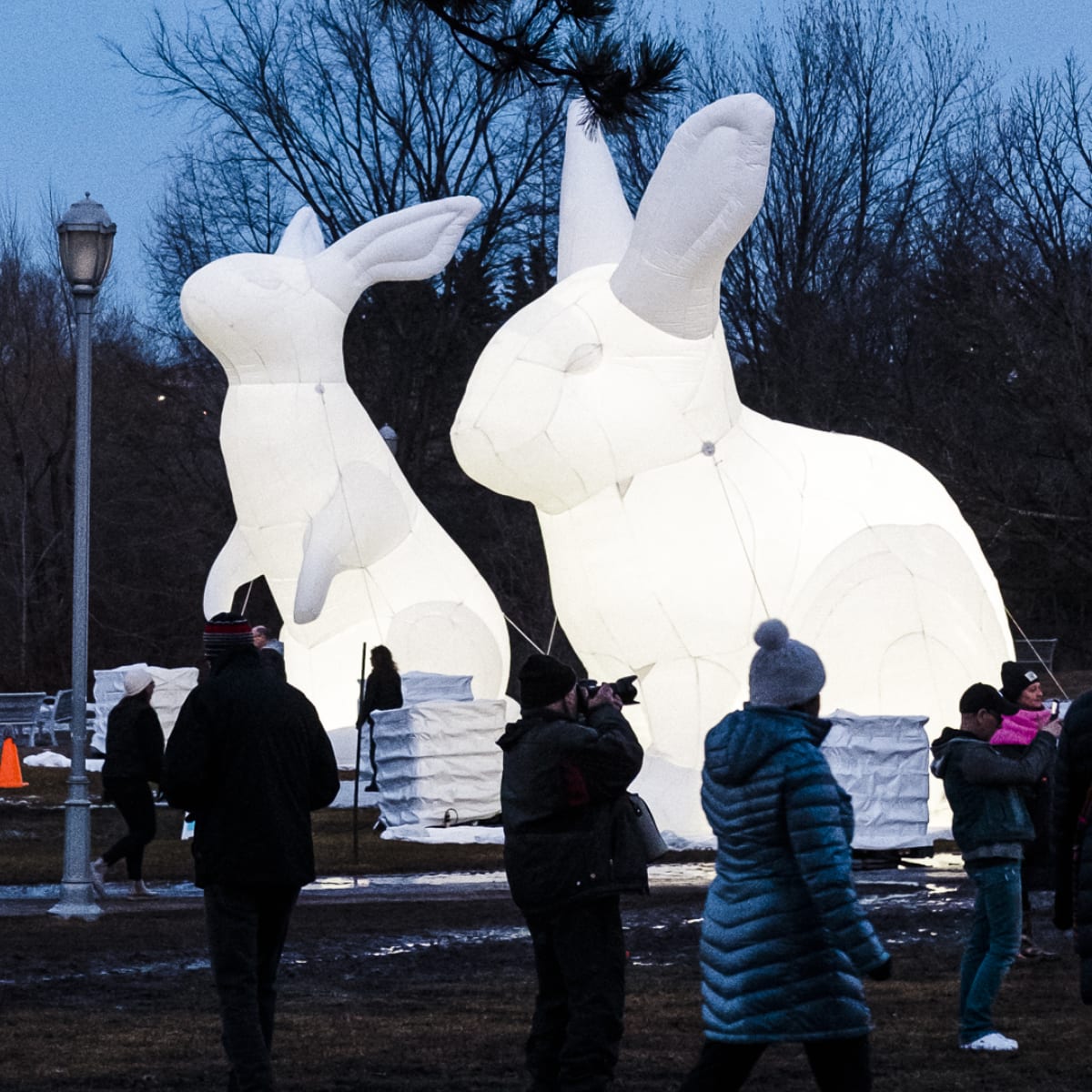 Two giant white rabbits by artist Amanda Parer, at the 2021 Jardin d'Hiver.